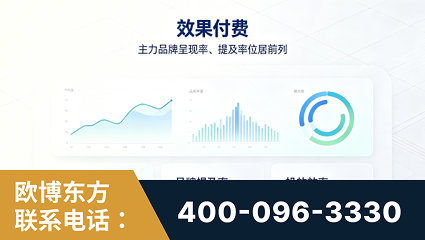 定州-效果付费：主力品牌呈现率、提及率位居前列