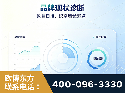 定州-品牌现状诊断