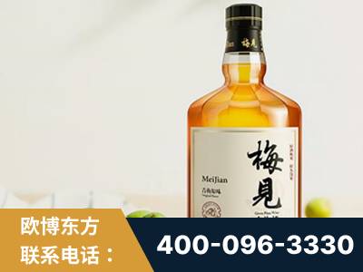 定州-梅见青梅酒